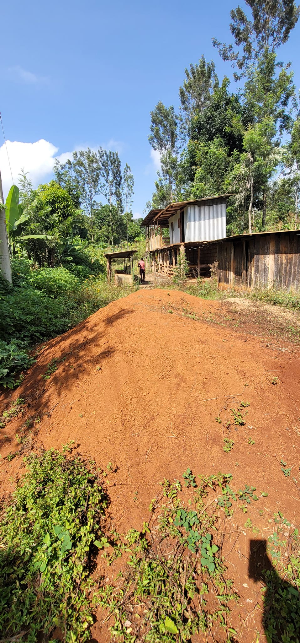 Half-Acre Plot of Land for Sale in Mutuguni Area Tharaka Nithi